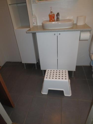 a small bathroom with a sink and a step stool at Teigur Guesthouse in Akranes
