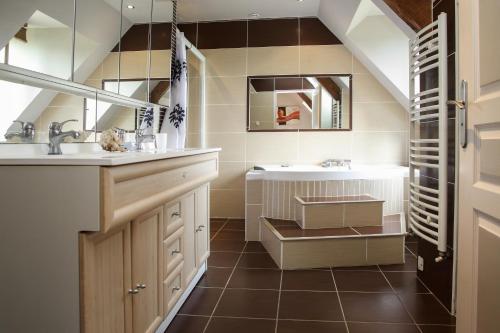 a bathroom with a sink and a mirror at lO GORISSADO - La ferme du glandier in Saint-André-dʼAllas