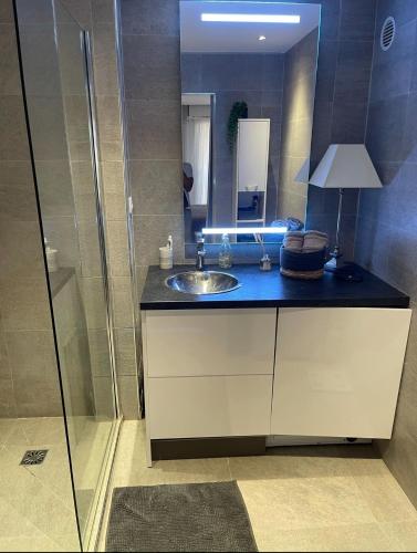 une salle de bain avec un lavabo et un miroir dans l'établissement Reine Astrid Palm Beach, à Cannes