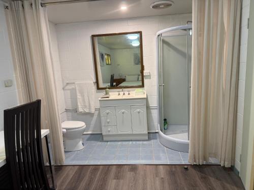 a bathroom with a sink and a shower and a toilet at Comfortable studio in Bowen 4805 in Bowen