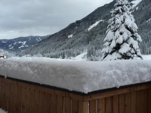 a fence covered in snow with a pine tree at Haus Willibald in Saalbach Hinterglemm