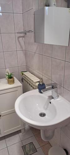 a bathroom with a white sink and a mirror at Srce Turopolja in Velika Gorica