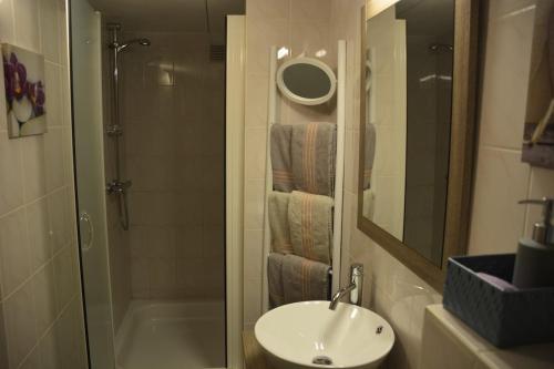 a bathroom with a sink and a shower and a toilet at Couleur Nature, gîte de charme en Ardenne in Stoumont