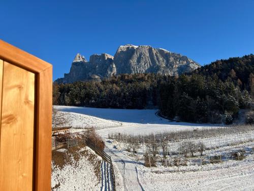 a view of a snowy field with a mountain in the background at Grimmhof in Fiè
