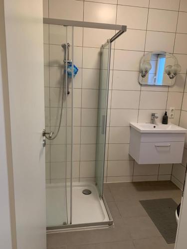 a bathroom with a shower and a sink at ZV-Scholtz Gästehaus Eisenfelden in Winhöring