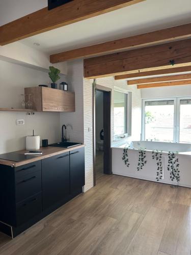 Η κουζίνα ή μικρή κουζίνα στο Apartments Harmony Joe