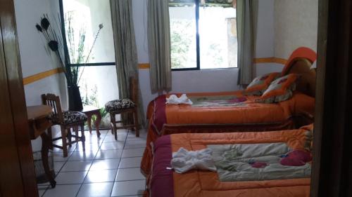 Hotel Mixti – عکس‌ها 5