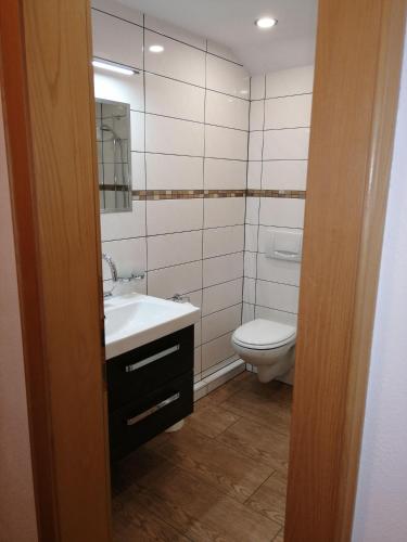 a bathroom with a sink and a toilet at Haus-Anita in Grän