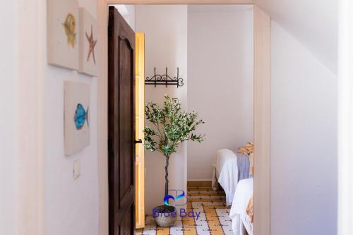 una habitación con una puerta y una planta en el suelo en The Yellow One, en La Herradura