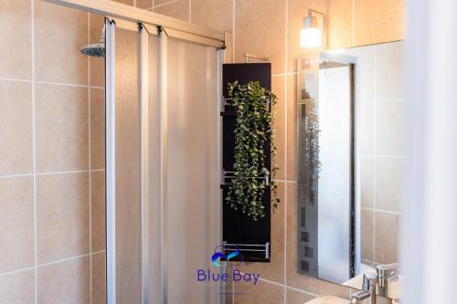 baño con cortina de ducha y planta en The Yellow One, en La Herradura