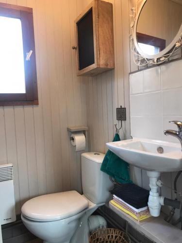 a bathroom with a toilet and a sink at Chalet Sérénité in Moux-en-Morvan