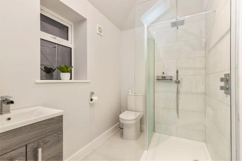 a bathroom with a shower and a toilet and a sink at The Little House in Oxwich in Oxwich