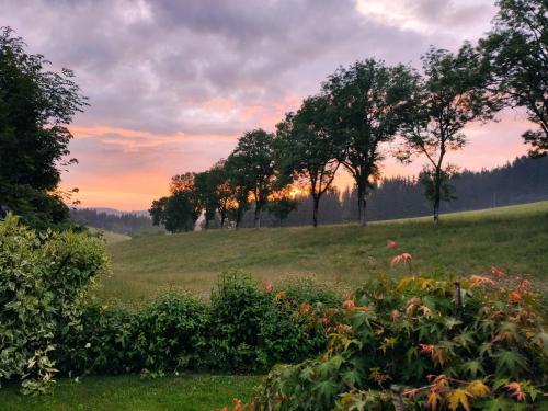 a sunset over a field with trees and flowers at Biobetrieb Lippenhof in Breitnau