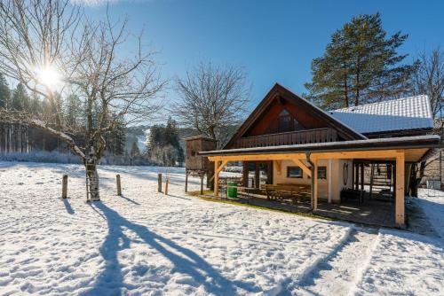 a log cabin in the snow with the sun behind it at Apartmenthaus Pernull in Tröpolach