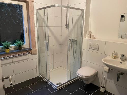 a bathroom with a shower and a toilet and a sink at Traumhaus am See 2 in Rieden