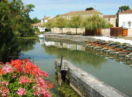 un groupe de bateaux dans une rivière fleurie dans l'établissement Gîte l Harmonie, à Maillé