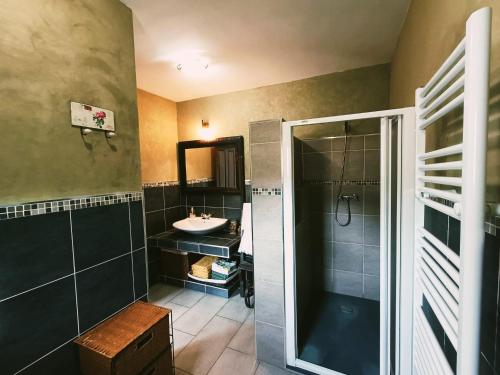 a bathroom with a shower and a sink at Cortijo Rica in Seco de Lucena