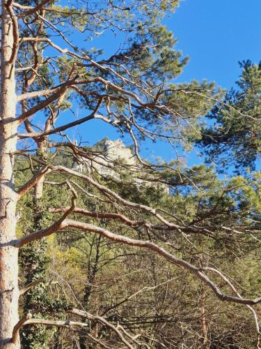 a group of trees with a mountain in the background at Burgblick Apartment- 60qm, Küche, Waschmaschine, Streamingdienste in Seebenstein