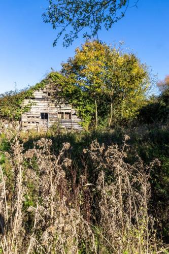 an old house on the side of a hill at 'Bramley' Hut on private farm in Charsfield