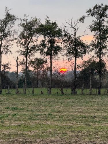 a sunset in a field with trees in the background at 'Bramley' Hut on private farm in Charsfield