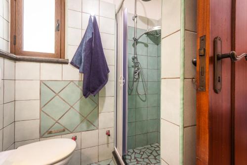 a bathroom with a shower and a toilet at Villa Felice in Giardini Naxos