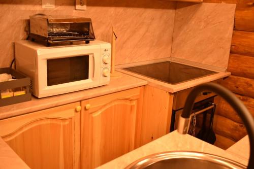 a small kitchen with a microwave and a sink at Lambievi Kolibi in Gorno Kraishte