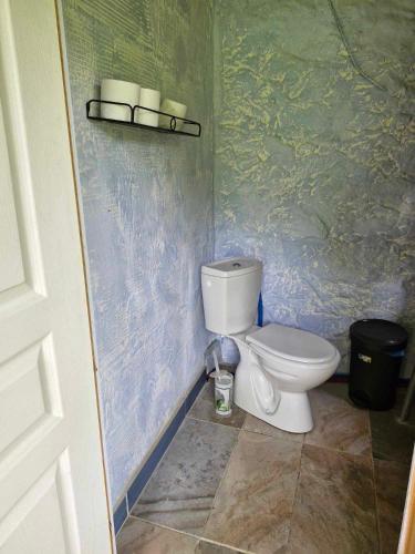 une salle de bain avec des toilettes blanches dans une chambre dans l'établissement CHAMBRE INDEPENDANTE au calme en moyenne montagne, à Soulan