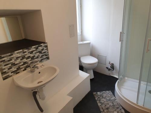 a bathroom with a sink and a toilet and a shower at Studio 2 - 3 minutes du Futuroscope in Chasseneuil-du-Poitou