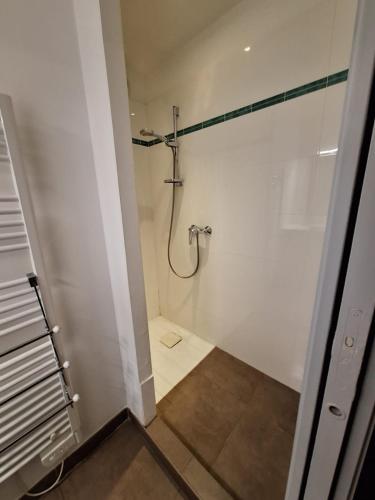 une salle de bain avec une douche avec une porte vitrée dans l'établissement Appartement F2 Salines de Porto Vecchio, à Porto-Vecchio