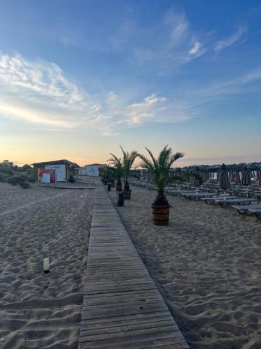 a boardwalk on a beach with palm trees on it at Luxury Private Apartment near Green Life Resort in Sozopol