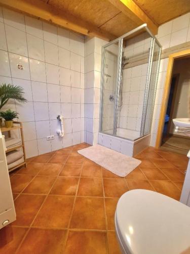 a bathroom with a shower and a toilet at Ferienwohnung Sankt Georg in Bad Staffelstein