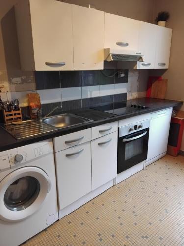 une cuisine avec un évier et une machine à laver dans l'établissement Appartement Rennes Gare, à Rennes