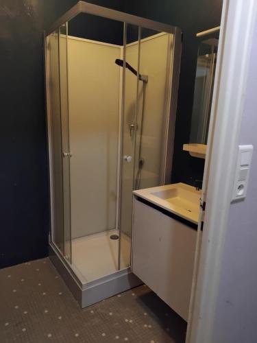 une douche en verre dans une salle de bain avec un lavabo dans l'établissement Appartement Rennes Gare, à Rennes