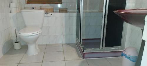 a bathroom with a toilet and a shower and a sink at L'Essentiel in Arbusigny