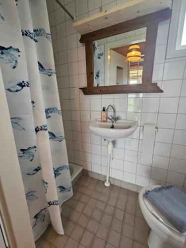 a bathroom with a sink and a toilet and a mirror at Surf Shack in Scharendijke