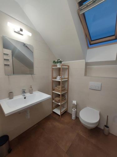 a bathroom with a sink and a toilet at Vitorlás Apartman in Balatonszárszó