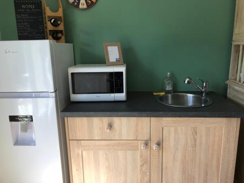 a kitchen with a sink and a microwave at Le Petit Paradis de Marcelise in Le Ponchel