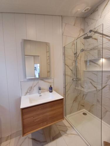 a bathroom with a sink and a shower at Falls Park in Ingleton 