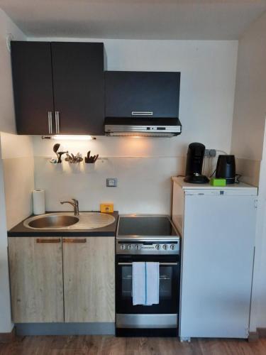 une petite cuisine avec un évier et une cuisinière dans l'établissement Les Buttes : Apt 2 Prs, 1 ch : Parking privé, à Dijon