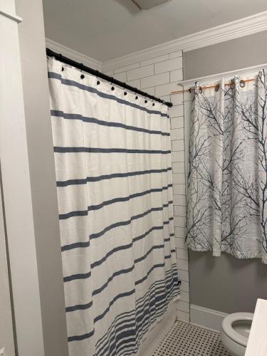 a bathroom with a shower curtain and a toilet at Gorgeous 3 BR Lower Unit Home in Buffalo