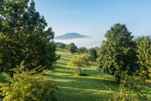 a field with trees and a hill in the distance at Natur- und Wohlfühlhotel Kastenholz in Wershofen