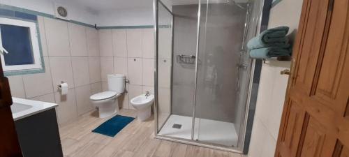 a bathroom with a shower and a toilet at Número 55 in Órgiva