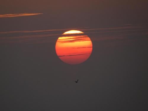 Amanecer o atardecer desde la casa de huéspedes o alrededores