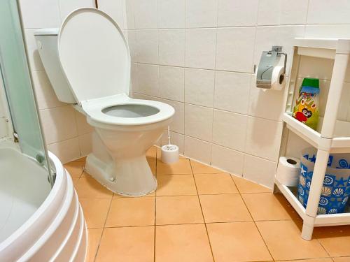 a bathroom with a toilet with the lid open at P&P Jičín Apartments - soukromé 2-3 lůžkové pokoje s vlastní kuchyní a koupelnou in Jičín