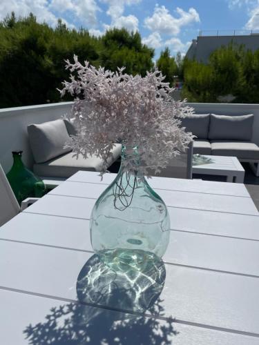 Fotografie z fotogalerie ubytování La terrazza di Gea a 100 mt dal mare v destinaci Cozze
