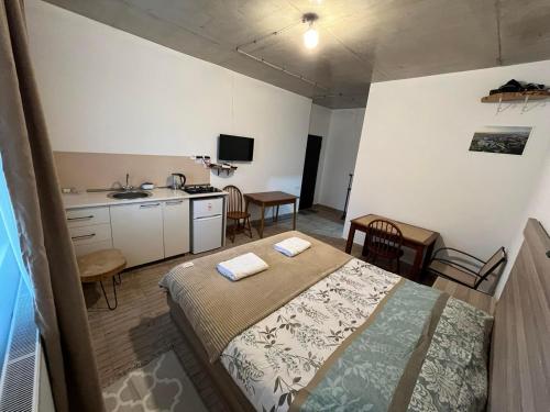 Kuchyň nebo kuchyňský kout v ubytování Hotel apartment