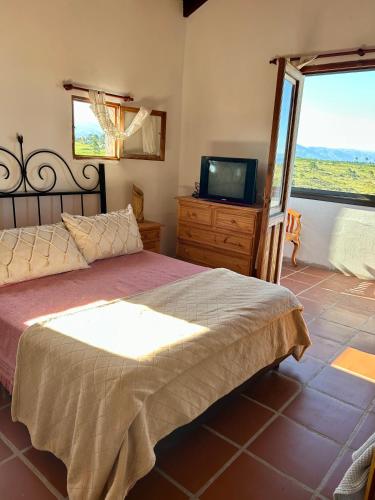 a bedroom with a bed and a tv and a window at Cabañas Casa Flor Yacanto in Villa Yacanto