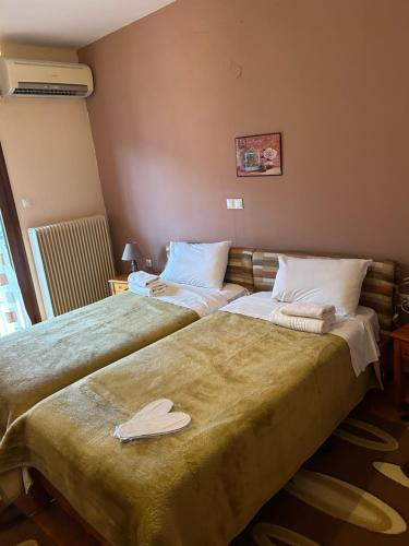 two beds sitting next to each other in a room at Hotel Aoos in Konitsa