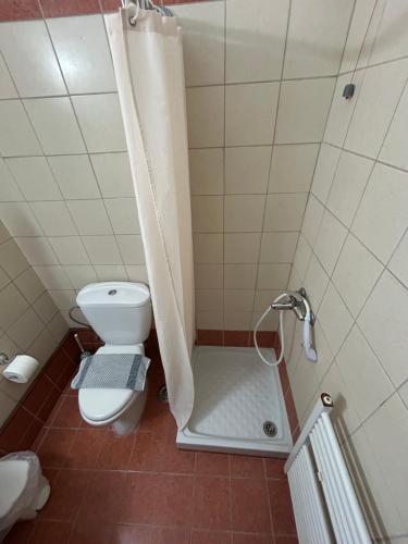 A bathroom at Hotel Aoos