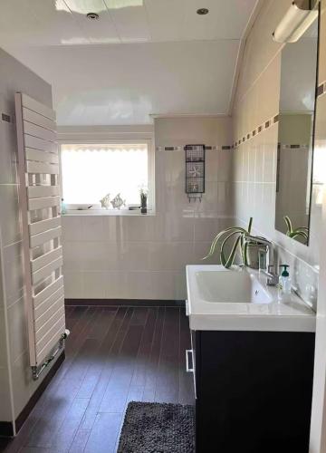 a bathroom with a sink and a window at Vakantiewoning 't Linderveld in Rossum